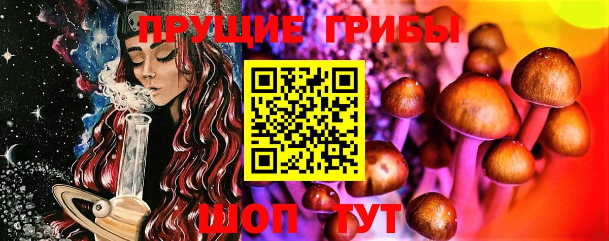 где найти наркотики  Вход с VPN  Псилоцибиновые грибы Cubensis  Вичуга  Галлюциногенные грибы MAGIC MUSHROOMS 